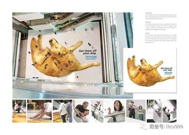 undefined 微信图片_20200303191817.jpg