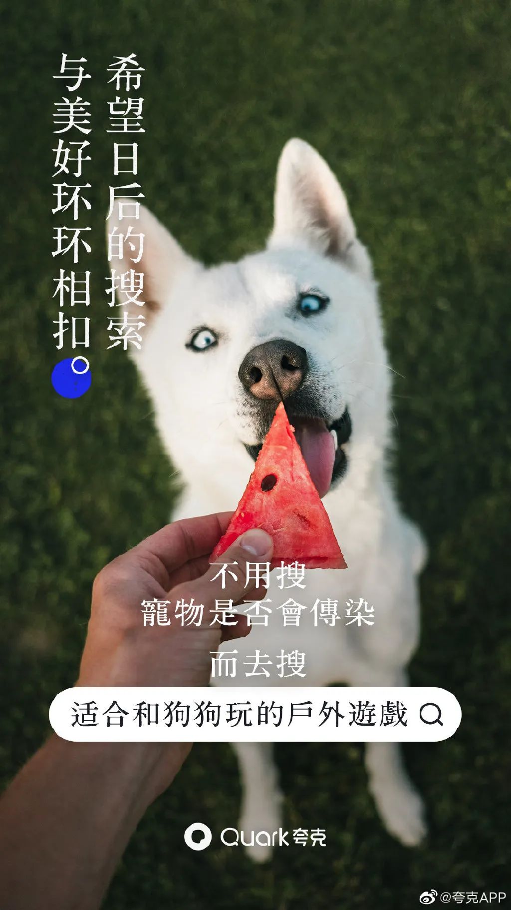undefined 微信图片_20200311174713.jpg