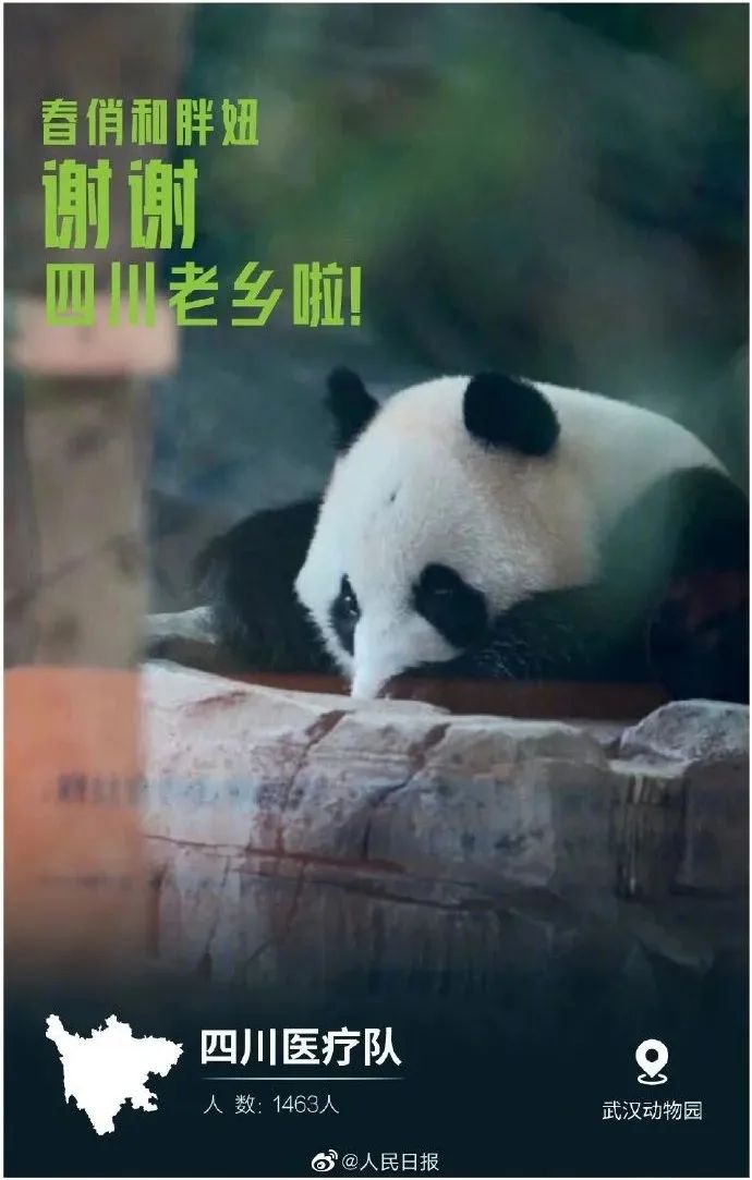 undefined 微信图片_20200318162126.jpg