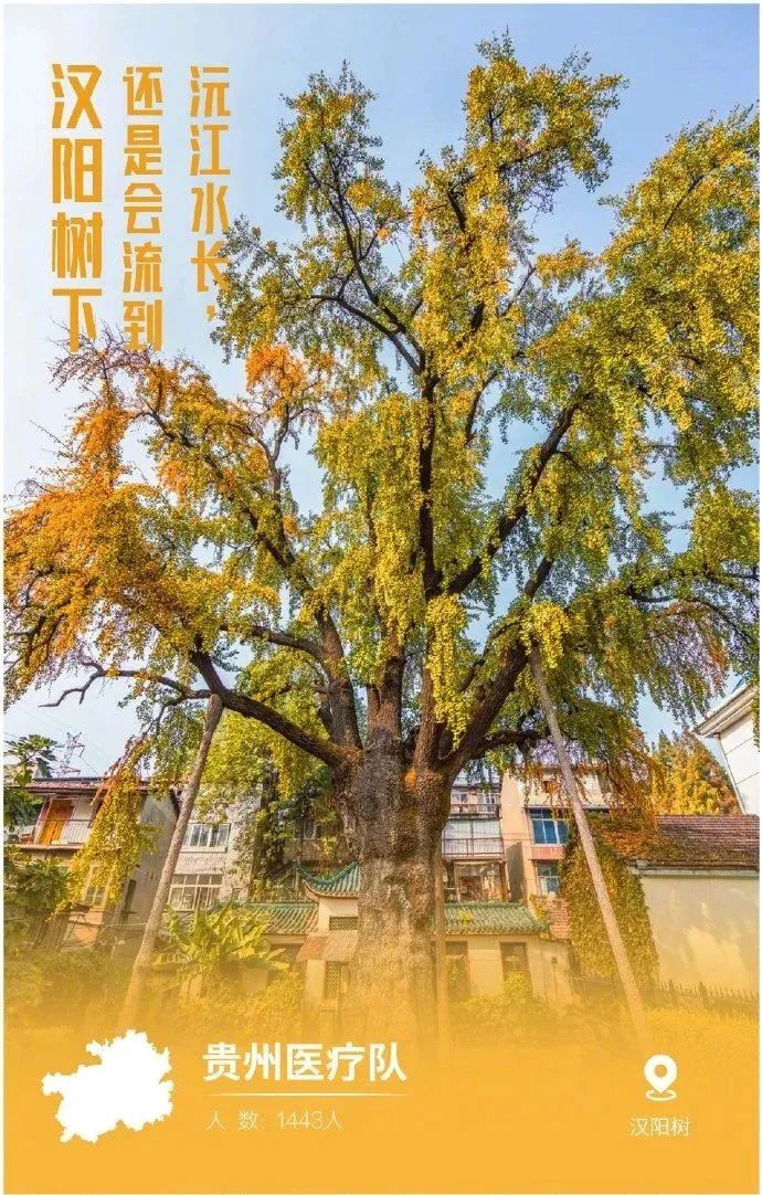 undefined 微信图片_20200318162129.jpg