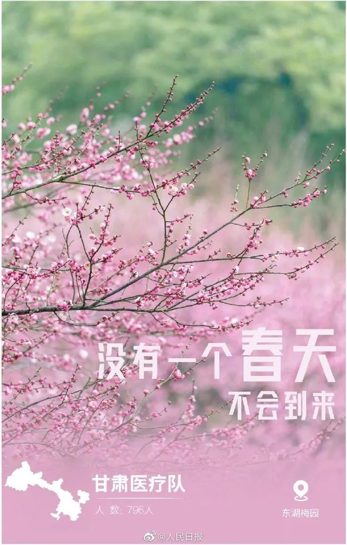 undefined 微信图片_20200318162138.jpg