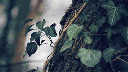 微信图片_20200320155029.gif